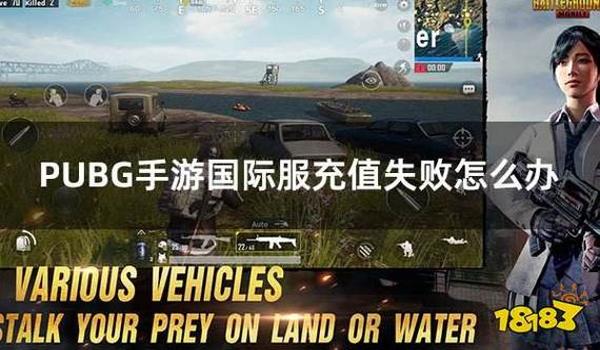 pubg国际服辅助技术软件教程（PUBG国际服辅助技术软件的详细教程是什么？）