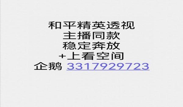 和平精英透视外挂是啥（和平精英透视外挂是什么）